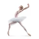 Bloch Belle, ballet tutu skirt