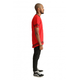 Ginge London Harlequin Tshirt