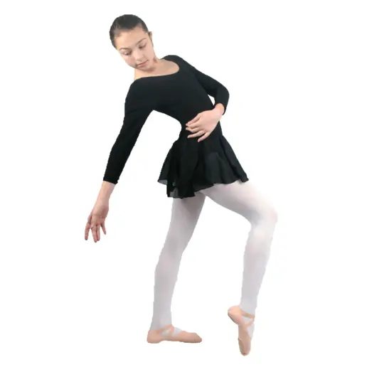 Capezio leotard with long sleeve and skirt