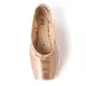 Bloch Elegance,  stretchy ballet pointe shoes