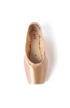 Bloch Elegance,  stretchy ballet pointe shoes