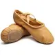 Dancee practice, men's ballet shoes - Tan