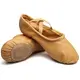 Dancee practice, men's ballet shoes