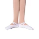 Dancee Pro stretch, children's elastic ballet shoes