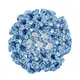 Rumpf Bun cover, coloured bun cover with a crystal