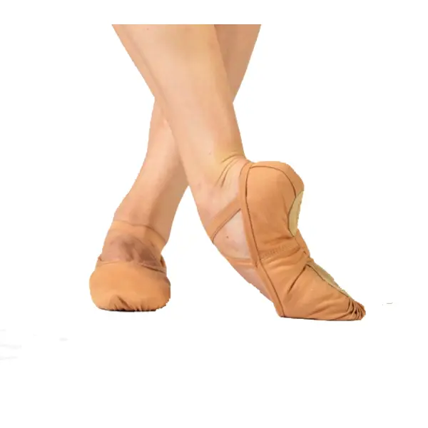 Sansha PRO 1C, ballet shoes