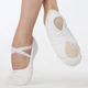 Capezio Pro Canvas Ballet shoes  - Light suntan Capezio