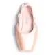 Capezio Phoenix pointe, pointe shoes